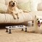 Stable Anti-Tip Raised Dog Cat Bowl Stand, Detachable Stainless Steel Double Bowl Elevated Pet Feeding Station